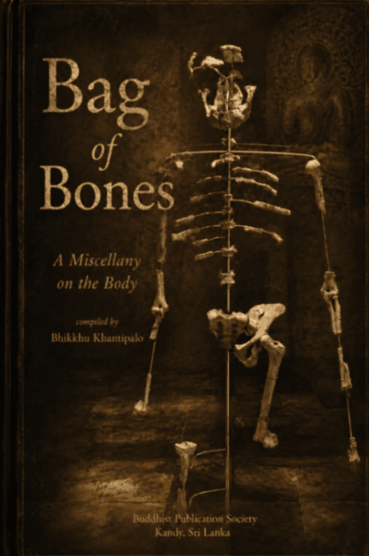 Bag of Bones: A Miscellany on the Body