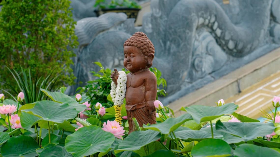 Lâm Tỳ Ni giữa hải đảo: Sự tiếp nối mạch nguồn giác ngộ