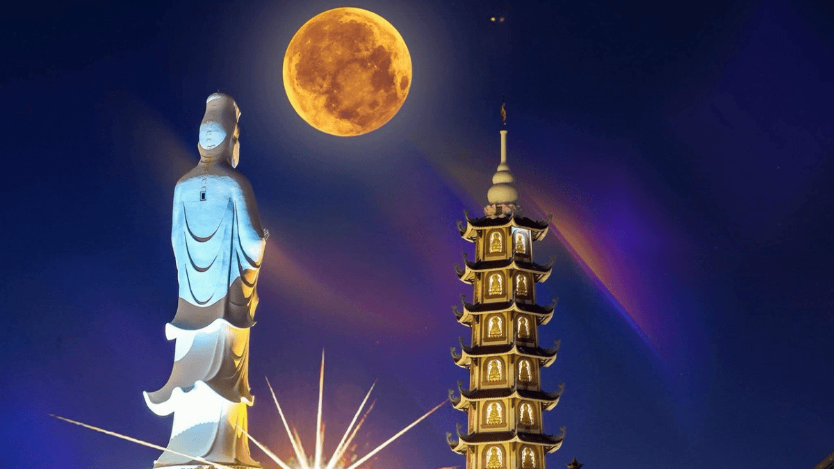 The Dynamics of Vedanā in the Process of Liberation in the Pāli Nikāya (2026)