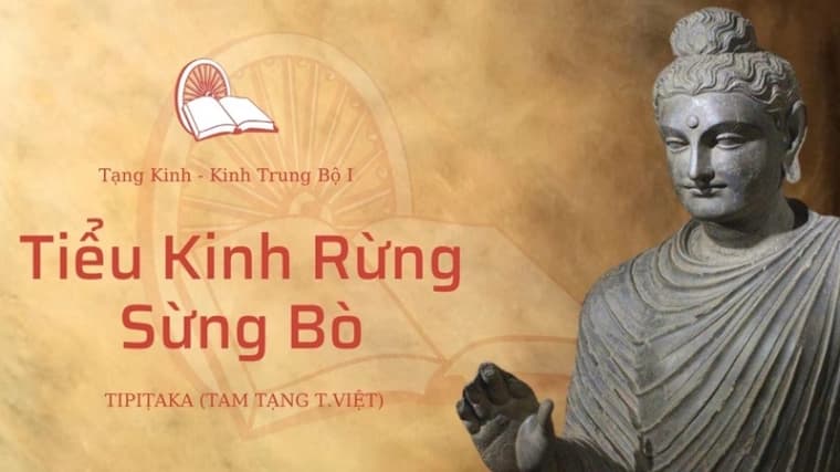Tinh thần hoà hợp qua bài "Tiểu kinh rừng sừng bò"